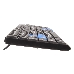 Клавиатура ExeGate EX283618RUS Professional Standard LY-402N (USB, полноразмерная, 102кл, 8 голубых клавиш, черная, Color box), фото 3