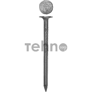 Гвозди с большой потайной головкой, оцинкованные, 40 х 3.0 мм, 100 гр., ЗУБР