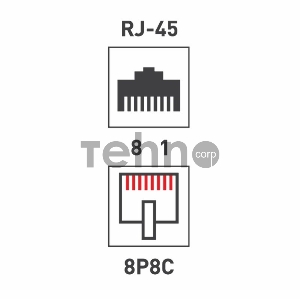 Розетка сетевая LAN, на стену, (2 гнездо 8Р8С (Rj-45), 5e кат)