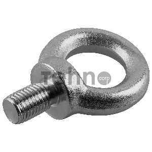 Рым-болт DIN 580, М16, 6 шт, оцинкованный, ЗУБР Профессионал