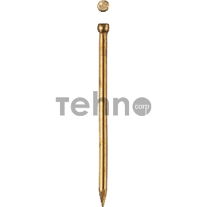 Гвозди финишные, с латунным покрытием, 30 х 1.4 мм, 50 шт, ЗУБР