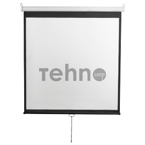 Экран 240x240см Digis Optimal-D DSOD-1107 1:1 настенно-потолочный рулонный