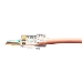 Разъем легкой оконцовки RJ-45 (8P8C) Hyperline PLEZ-8P8C-U-C6-100 под витую пару, категория 6 (50 µ