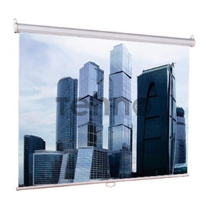 Экран Lumien 160x160см Eco Picture LEP-100105 1:1 настенно-потолочный рулонный Экран Lumien 160x160см Eco Picture LEP-100105 1:1 настенно-потолочный рулонный