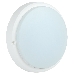 Светильник LED Iek LDPO0-4005-8-6500-K01 ДПО 4005 8Вт IP54 6500K круг белый, фото 2
