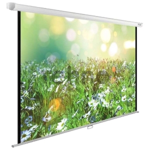 Экран Cactus 200x200см WallExpert CS-PSWE-200x200-WT 1:1 настенно-потолочный рулонный