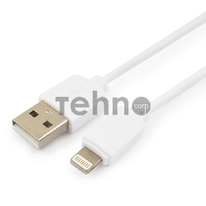 Кабель USB Гарнизон GCC-USB2-AP2-0.3M-W AM/Lightning, для iPhone5/6/7, IPod, IPad, 0.3м, белый, пакет