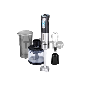 Блендер Centek CT-1342