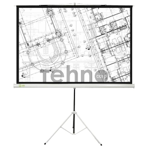 Экран Cactus 127x127см Triscreen CS-PST-127X127 1:1 напольный рулонный белый Экран Cactus 127x127см Triscreen CS-PST-127X127 1:1 напольный рулонный белый