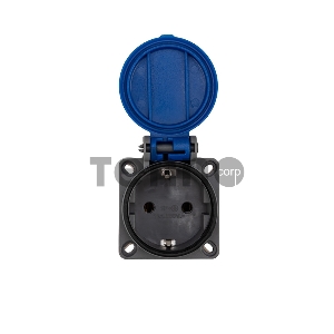 Розетка влагозащищенная  с крышкой, с/з, скрытая установка,16 А, IP54 каучук REXANT