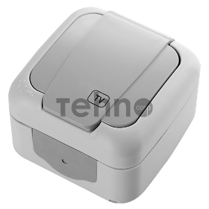 Розетка телевизионная Panasonic Palmiye (90555560-RU) откр. IP54 серый (упак.:1шт)