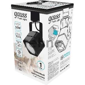 Светильник Gauss TR009 черный