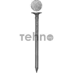 Гвозди с большой потайной головкой, оцинкованные, 50 х 3.0 мм, 100 гр., ЗУБР