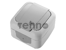 Розетка телевизионная Panasonic Palmiye (90555549-RU) откр. IP54 серый (упак.:1шт)