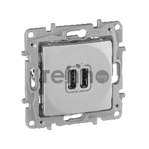 Розетка USB Legrand 672494 с двумя USB-разьемами 240В/5В 2400мА - Etika - алюминий