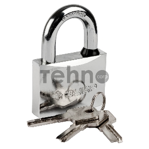 Замок навесной Зубр 