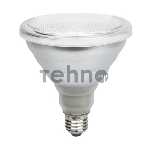 Лампа светодиодная PPG PAR38 Agro 15Вт E27 185-265В красн./син. для растений JazzWay 5004702