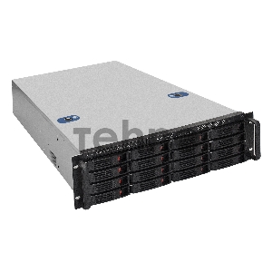 Серверная платформа ExeGate EX292419RUS Pro 3U660-HS16 <RM 19