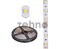 LED-лента 5 м 12 В 5050 6500 К IP23 60 LED/м для БП с клеммами LAMPER