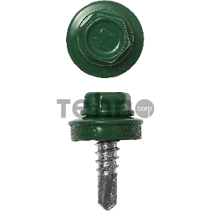 Саморезы СКМ кровельные, RAL 6002 зеленый лист, 25 х 5.5 мм, 420 шт, для металлических конструкций, ЗУБР Профессионал