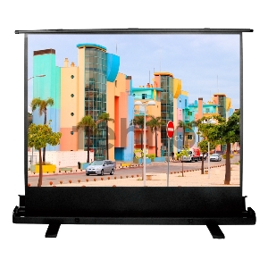 Экран Cactus 120x160см FloorExpert CS-PSFLE-160X120 4:3 напольный рулонный Экран Cactus 120x160см FloorExpert CS-PSFLE-160X120 4:3 напольный рулонный