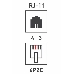 PROconnect Рoзетка телефонная внешняя, 1 порт RJ-11(6P-2C), категория 3, (50 шт/уп), фото 3