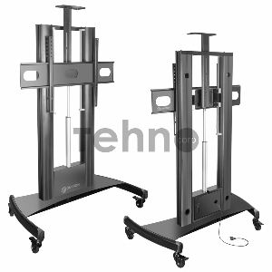 Стойка для телевизора с кронштейном ONKRON TS2210 55-100, мобильная, чёрная