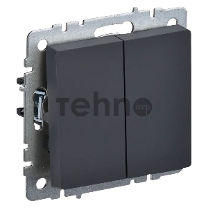 Выключатель 2-клавишный IEK BRITE 10А ВС10-2-0-БрГ графит