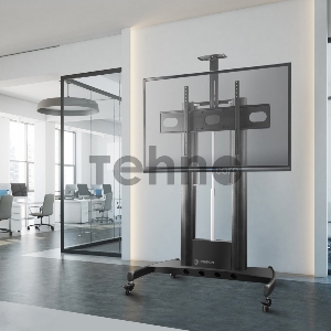 Стойка для телевизора с кронштейном ONKRON TS2210 55-100, мобильная, чёрная