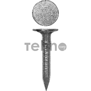 Гвозди с большой потайной головкой, оцинкованные, 120 х 4.0 мм, 80 шт, ЗУБР