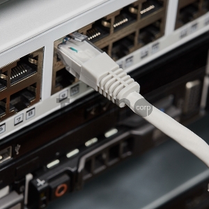 Rexant Пaтч-корд U/UTP, категория 5e, RJ45-RJ45, неэкранированный, LSZH серый, 2м