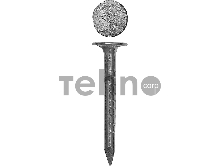 Гвозди толевые оцинкованные, ГОСТ 4029-63, 40 х 2.5 мм, 600 шт, ЗУБР