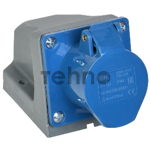 Розетка ОП 16А 220В 2P+PЕ ССИ-113 IP44 ИЭК PSR11-016-3