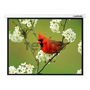 Экран Lumien 305x305см Master Picture LMP-100107 1:1 настенно-потолочный рулонный
