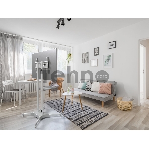 Стойка для телевизора Onkron TS1351 белый 32-65 макс.45.5кг напольный мобильный