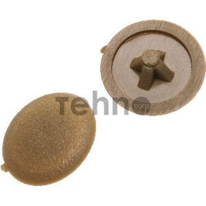 Заглушка декоративная под шуруп, цвет бук, шлиц №2, 40шт, ЗУБР