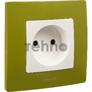 Рамка 1п зеленый папоротник ETIKA 