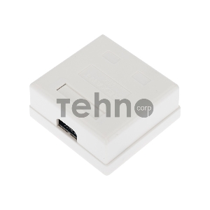 Рoзетка компьютерная внешняя, 2-порта RJ-45 (8P8C), UTP неэкранированная, категория 6, REXANT