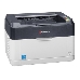 Принтер Kyocera Ecosys FS-1060dn, фото 1