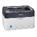 Принтер Kyocera Ecosys FS-1060dn, фото 1