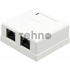 Розетка TWT (TWT-SM2-4545-WH) настенная 2 порта RJ-45 категории 5е. UTP. белая