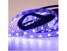 LED лента открытая, 10 мм, IP23, SMD 5050, 60 LED/m, 12 V, цвет свечения синий