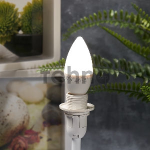 Лампа светодиодная Свеча (CN) 7,5 Вт E14 713 лм 4000 K нейтральный свет REXANT