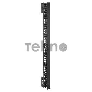 Кабельный органайзер Вертикальный ITK ZPAS ZP-CC05-42U-V-0800 42U шир.:19