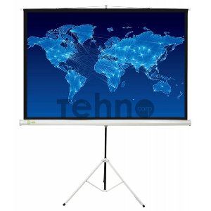 Экран Cactus 150x150см Triscreen CS-PST-150x150 1:1 напольный рулонный белый