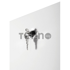 Шкаф телекоммуникационный напольный ЭКОНОМ 42U (600 × 800) дверь металл 2 шт.