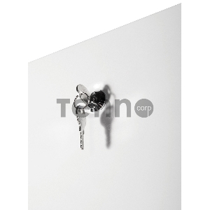 Шкаф коммутационный ЦМО (ШТК-Э-42.8.8-13АА) напольный 42U 800x800мм пер.дв.стекл металл 2 бок.пан. 710кг серый 715мм 105кг