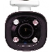 Видеокамера IP Trassir TR-D2123IR6 2.7-13.5мм цветная, фото 3