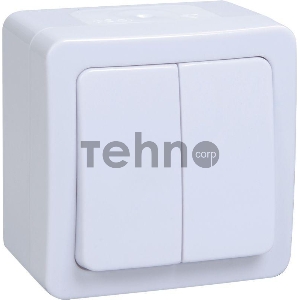 Выкл 2кл о/у IP54 (цвет клавиши:белый) ГЕРМЕС PLUS Iek EVMP20-K01-10-54-EC ВС20-2-0-ГПБ