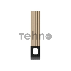 Флэш Диск Silicon Power Touch T20 16Gb Champague (Retail)
